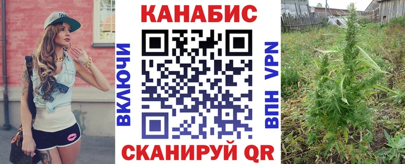 Канабис VHQ  наркошоп  Сенгилей 
